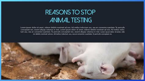 Why is animal testing wrong?